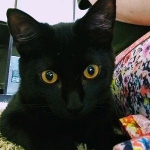 Meet your Posher, Beverly